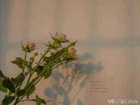 淮安婷云婷广告传媒有限公司