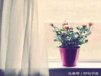 淮安婷云婷广告传媒有限公司