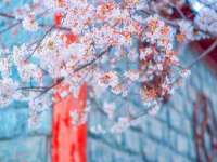 淮安婷云婷广告传媒有限公司