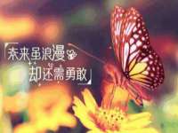 淮安婷云婷广告传媒有限公司