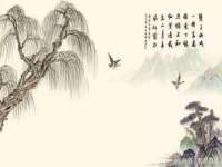 淮安婷云婷广告传媒有限公司