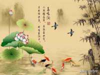 淮安婷云婷广告传媒有限公司