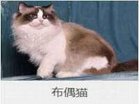 淮安婷云婷广告传媒有限公司