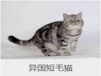 淮安婷云婷广告传媒有限公司