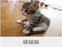 淮安婷云婷广告传媒有限公司