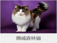 淮安婷云婷广告传媒有限公司