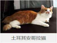 淮安婷云婷广告传媒有限公司