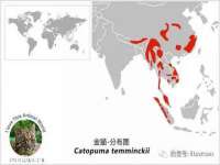 淮安婷云婷广告传媒有限公司