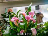 淮安婷云婷广告传媒有限公司