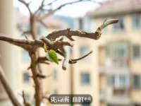 淮安婷云婷广告传媒有限公司