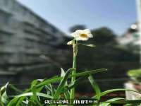 淮安婷云婷广告传媒有限公司