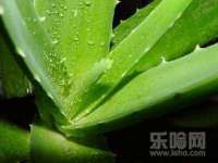 淮安婷云婷广告传媒有限公司