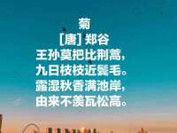 淮安婷云婷广告传媒有限公司