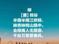 淮安婷云婷广告传媒有限公司