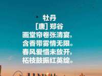 淮安婷云婷广告传媒有限公司