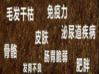 淮安婷云婷广告传媒有限公司