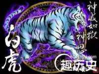 淮安婷云婷广告传媒有限公司