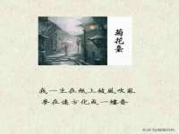 淮安婷云婷广告传媒有限公司