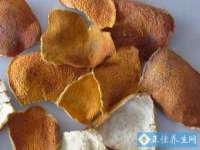 淮安婷云婷广告传媒有限公司