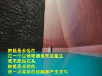淮安婷云婷广告传媒有限公司