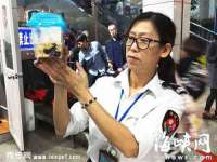 淮安婷云婷广告传媒有限公司