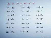 淮安婷云婷广告传媒有限公司