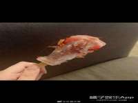 淮安婷云婷广告传媒有限公司